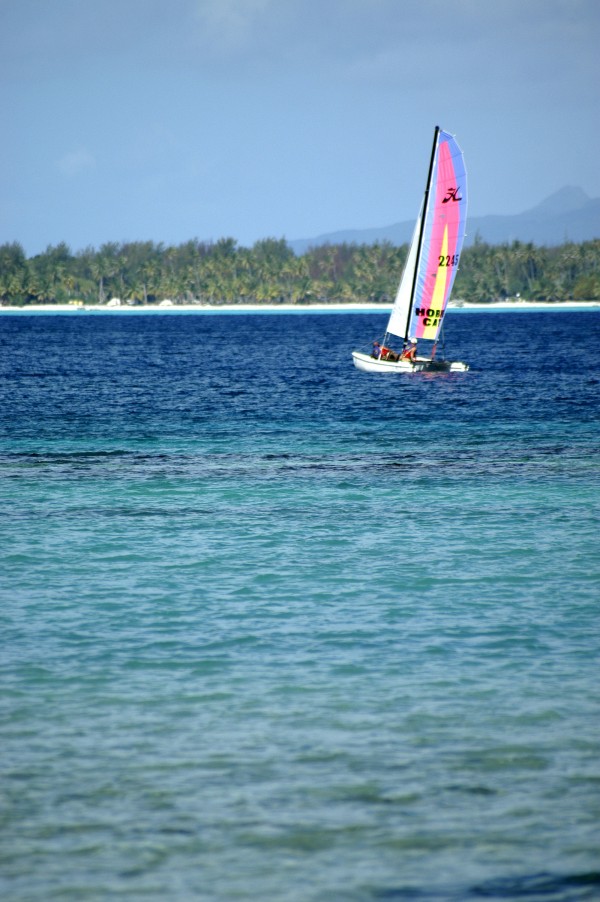 Hobie cat